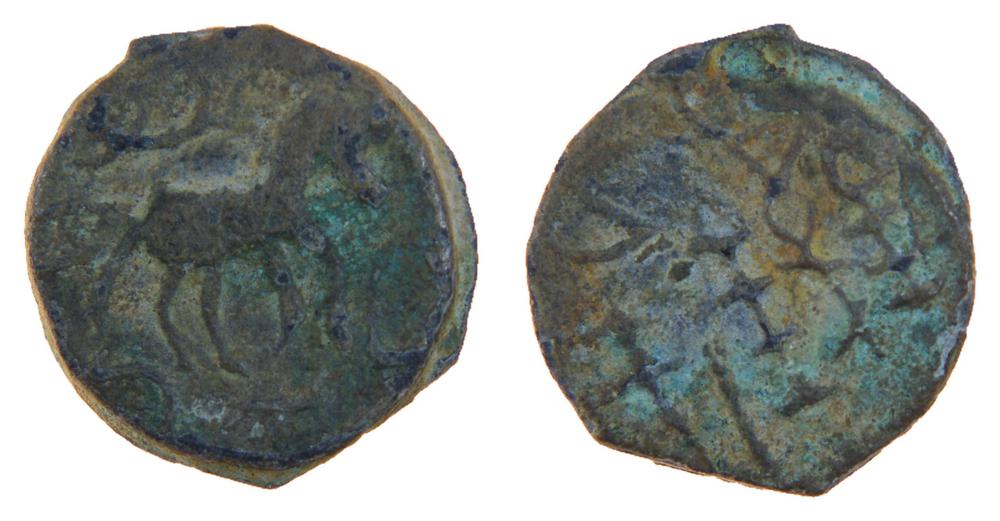 图片[1]-coin; forgery BM-2007-4037.10-China Archive